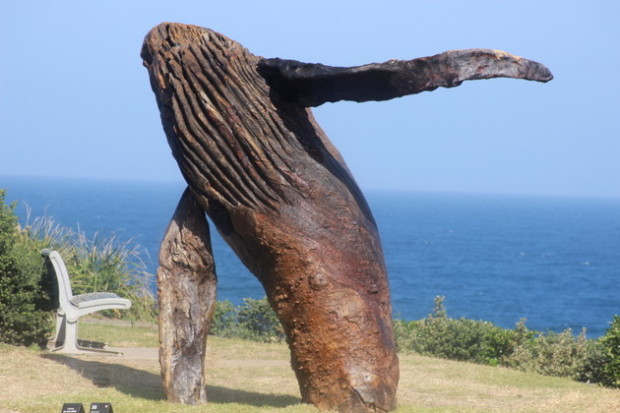 Skulpturen am Bondi Beach – Kunst der besonderen Art