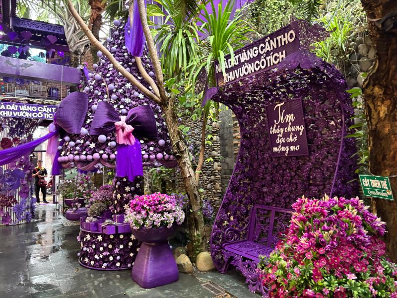 violetten Haus can tho