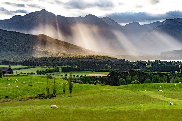 ⛰️Neuseeland Rundreise – Dein unvergessliches Abenteuer am anderen Ende der Welt