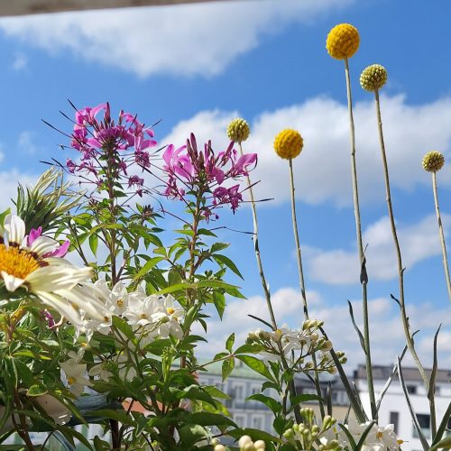 Ausflug zu Ostern – Tipps
