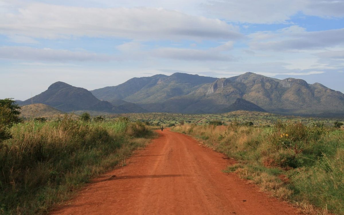 Gorilla Trekking Afrika