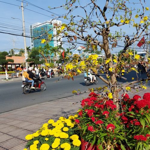 Ben Tre Sehenswürdigkeiten