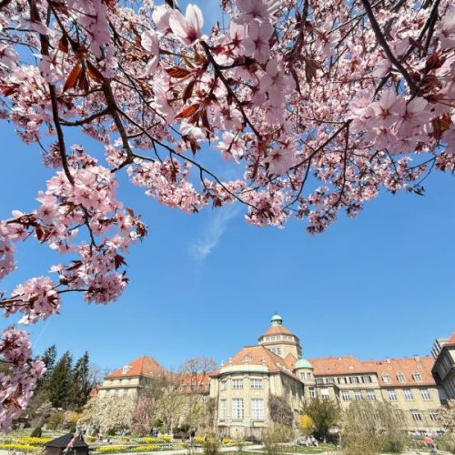 Botanischer Garten München