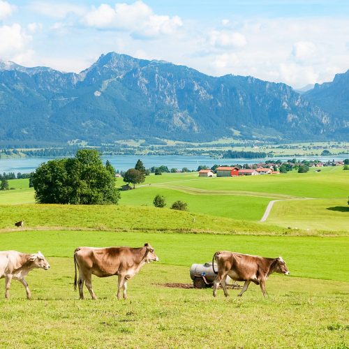 Allgäu