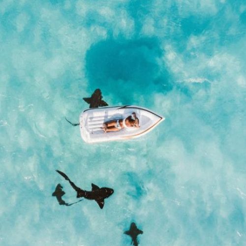 Reise Bahamas: Ein unvergessliches Abenteuer zwischen Sonne und Sand
